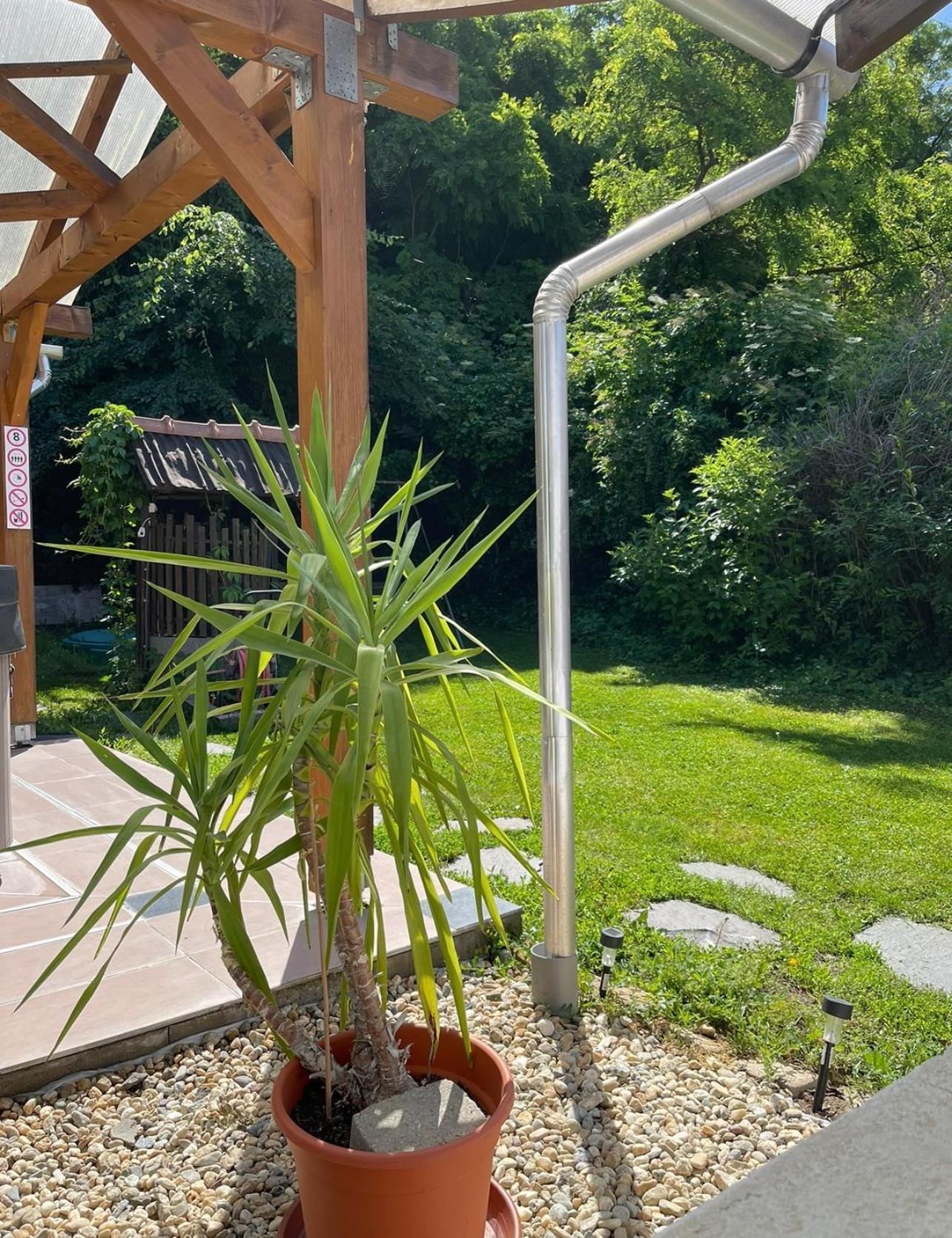 Panni Vendégház Egerszalók Esterno foto